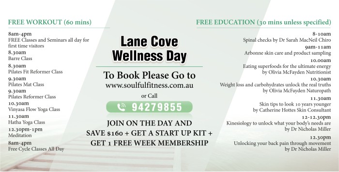 Soulful Fitness Wellness Day Back
